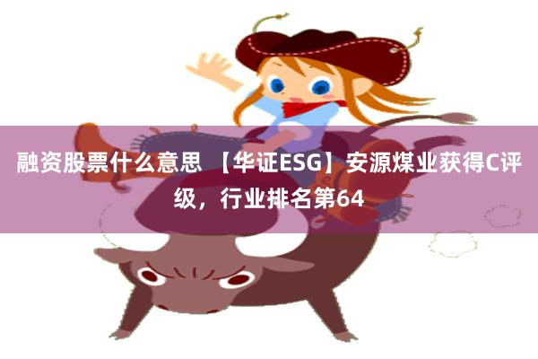 融资股票什么意思 【华证ESG】安源煤业获得C评级，行业排名第64