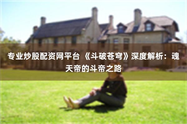 专业炒股配资网平台 《斗破苍穹》深度解析：魂天帝的斗帝之路