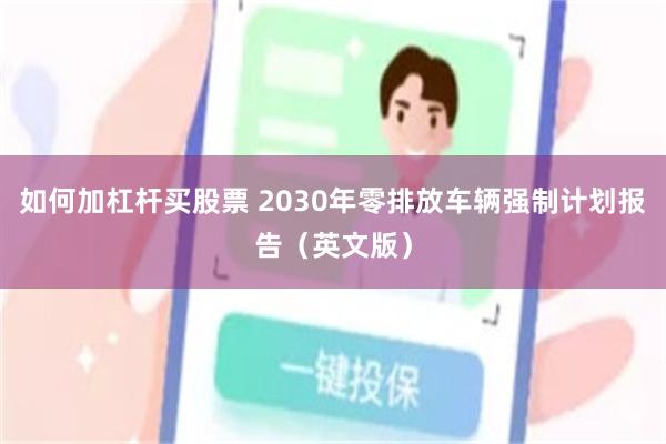 如何加杠杆买股票 2030年零排放车辆强制计划报告（英文版）