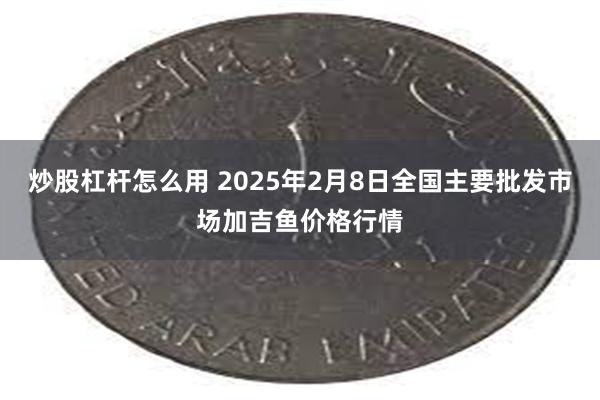 炒股杠杆怎么用 2025年2月8日全国主要批发市场加吉鱼价格行情