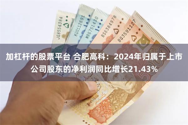 加杠杆的股票平台 合肥高科：2024年归属于上市公司股东的净利润同比增长21.43%