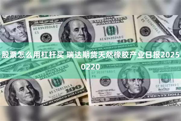 股票怎么用杠杆买 瑞达期货天然橡胶产业日报20250220